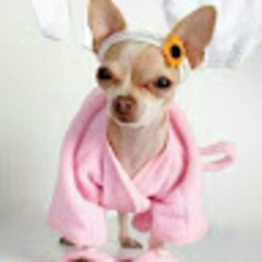 Meet your Posher, Veronica